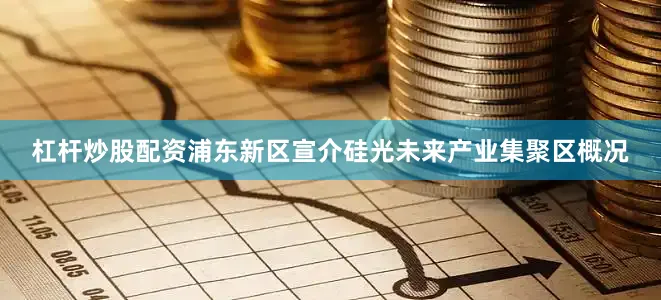杠杆炒股配资浦东新区宣介硅光未来产业集聚区概况